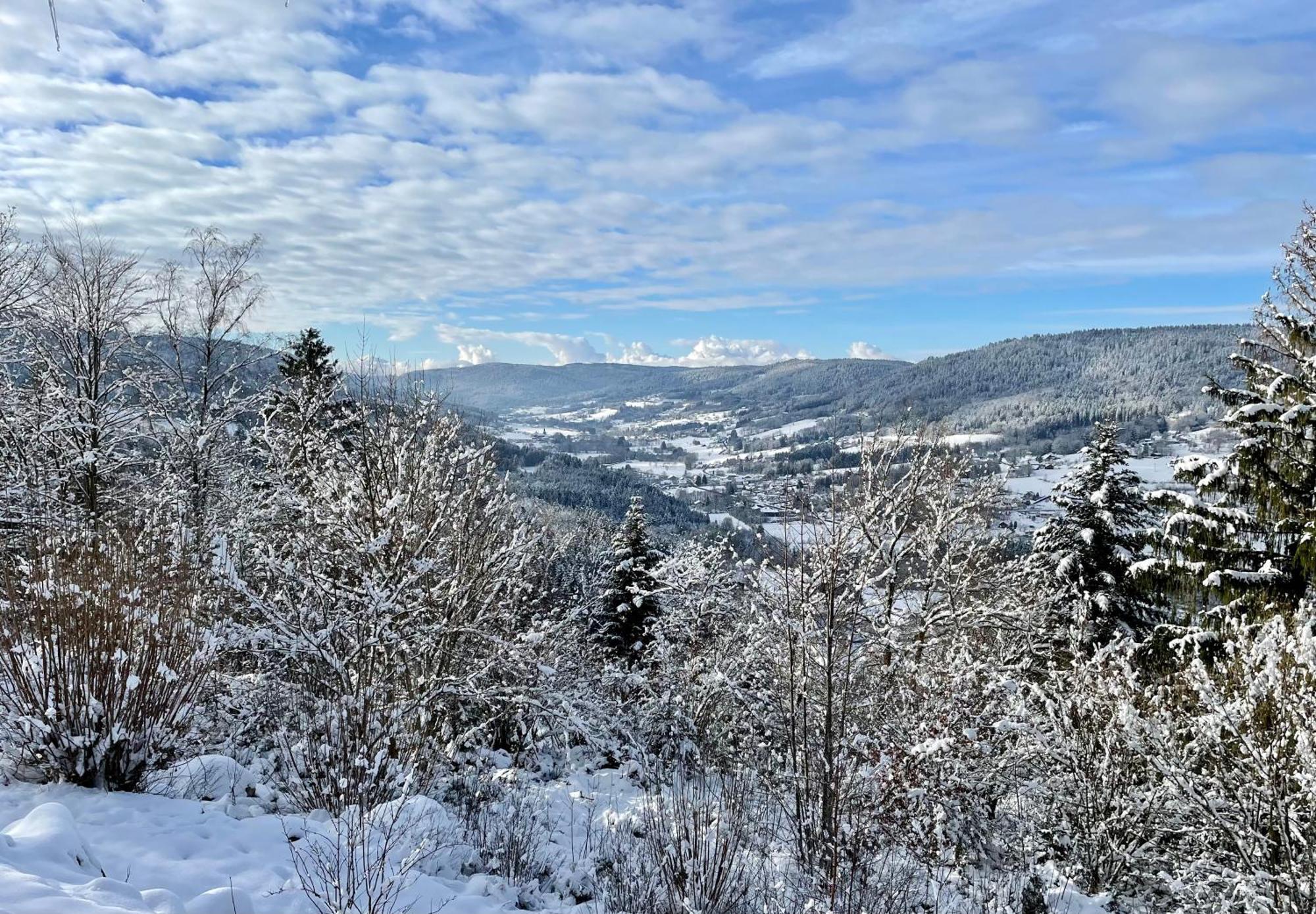 Le Gite Cozy De Bouvacote Avec Vue Panoramique Et Sauna Le Tholy Exterior photo